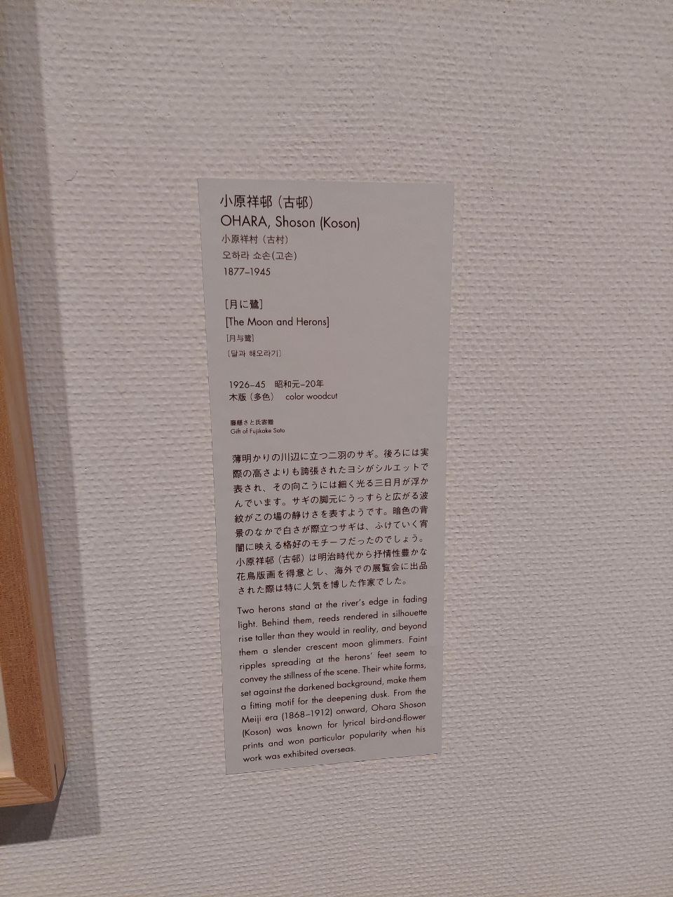 🗣️ Streaming meditations: Tokyo museum of modern art funny